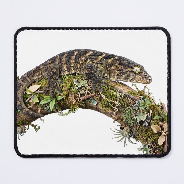 Item preview, gecko leachianus designed and sold by touz22.
