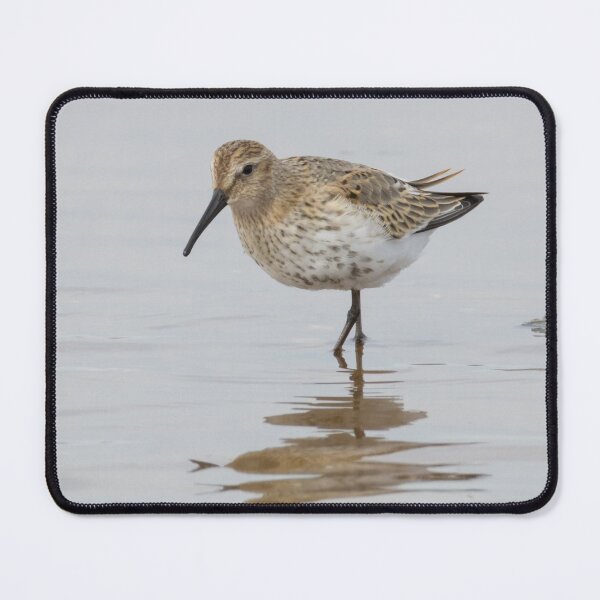 Item preview, Dunlin designed and sold by LaurenTucker.