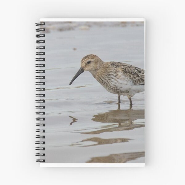 Item preview, Dunlin designed and sold by LaurenTucker.