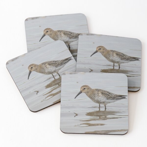 Item preview, Dunlin designed and sold by LaurenTucker.