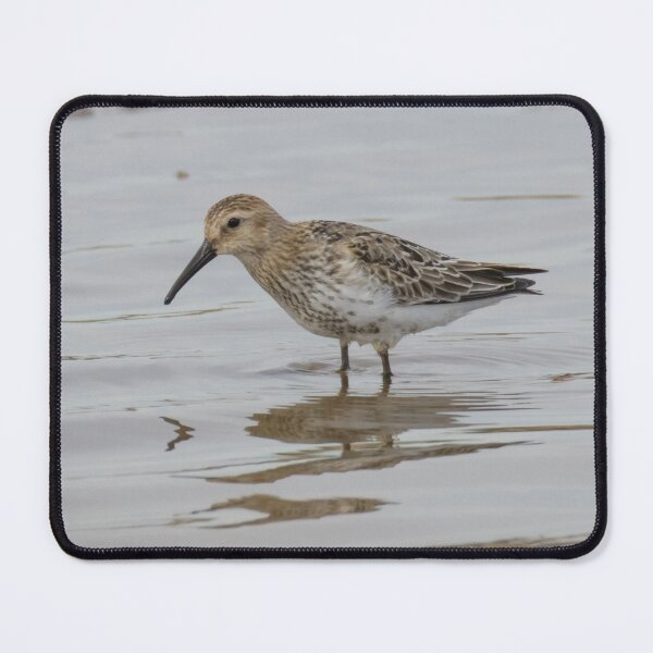 Item preview, Dunlin designed and sold by LaurenTucker.