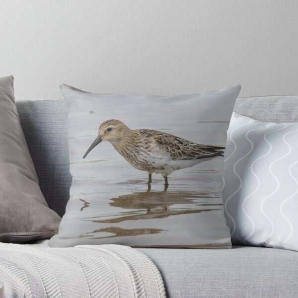 Item preview, Dunlin designed and sold by LaurenTucker.