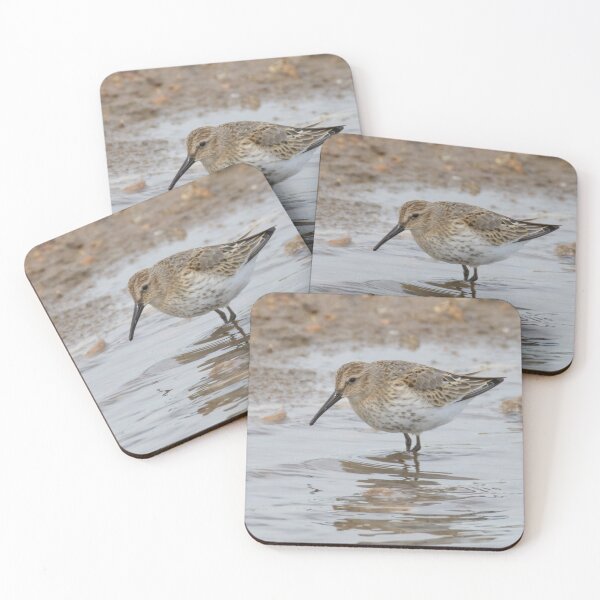 Item preview, Dunlin designed and sold by LaurenTucker.