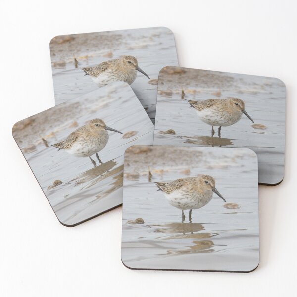 Item preview, Dunlin designed and sold by LaurenTucker.