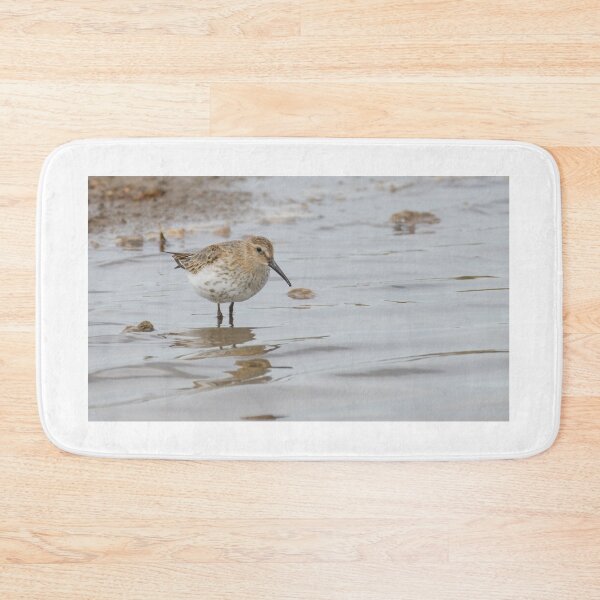Item preview, Dunlin designed and sold by LaurenTucker.