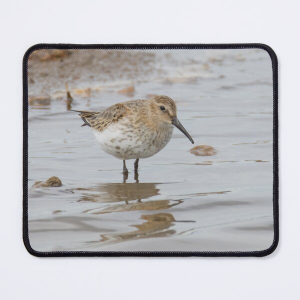 Item preview, Dunlin designed and sold by LaurenTucker.