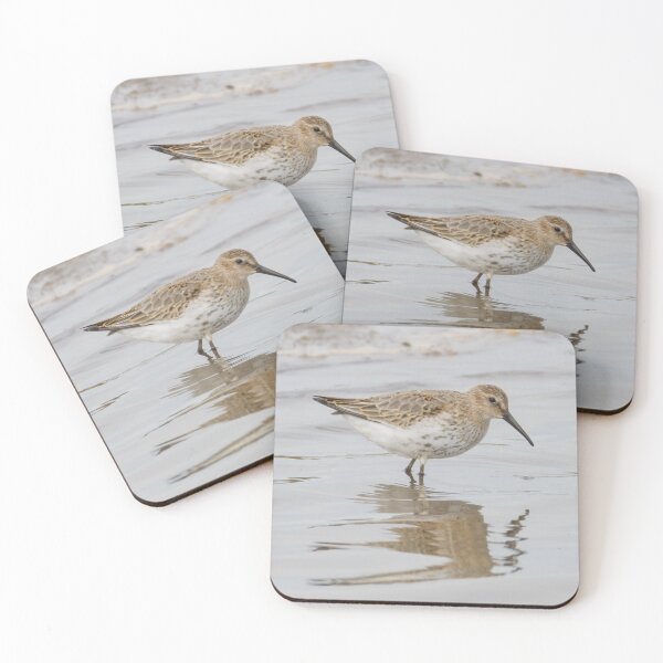 Item preview, Dunlin designed and sold by LaurenTucker.