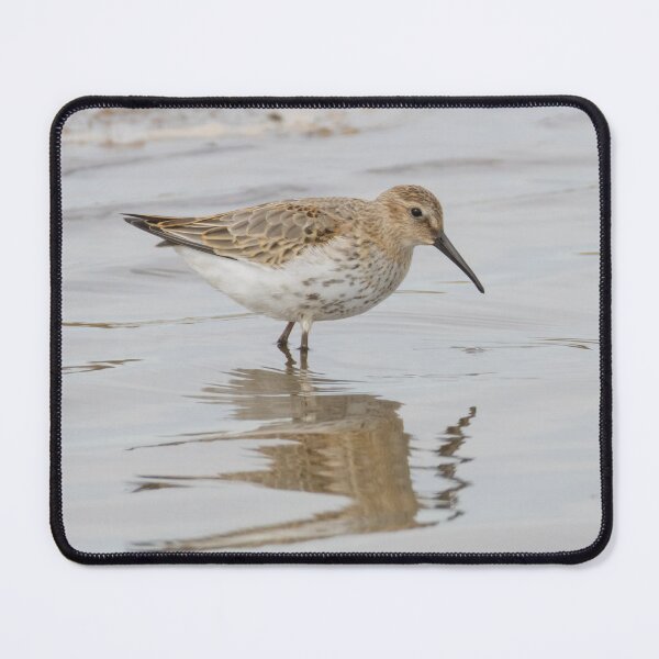 Item preview, Dunlin designed and sold by LaurenTucker.