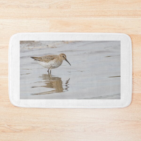 Item preview, Dunlin designed and sold by LaurenTucker.
