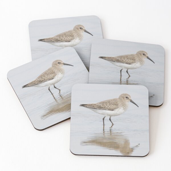 Item preview, Dunlin designed and sold by LaurenTucker.