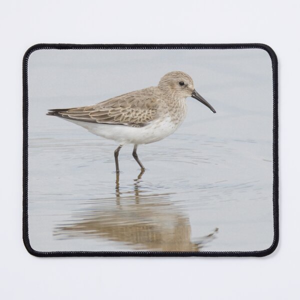 Item preview, Dunlin designed and sold by LaurenTucker.