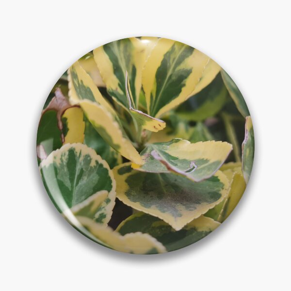 Item preview, ManOlio Variegated Foliage designed and sold by ManOlio.