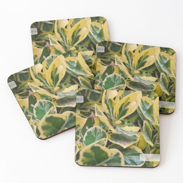 Item preview, ManOlio Variegated Foliage designed and sold by ManOlio.