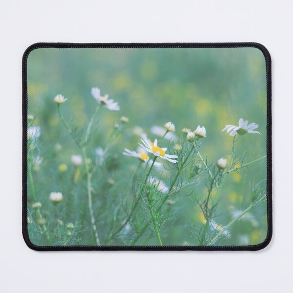 Item preview, Dreamy Chamomile Meadow Soft Pastel Botanical Photo designed and sold by Dzulo.