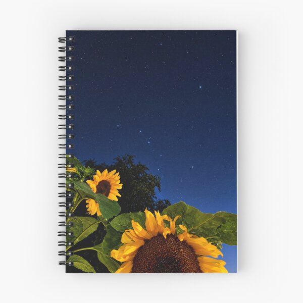 Item preview, Starlight Sunflowers, Night Under the Plough designed and sold by Astute-Artio-Photography.