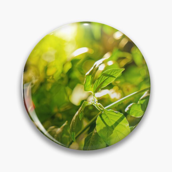 Item preview, Backlit Pepper Plant Leaves designed and sold by Rabee Khalil Photography.
