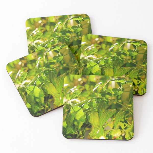 Item preview, Backlit Pepper Plant Leaves designed and sold by Rabee Khalil Photography.