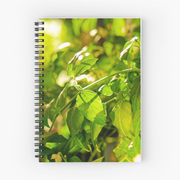 Item preview, Backlit Pepper Plant Leaves designed and sold by Rabee Khalil Photography.