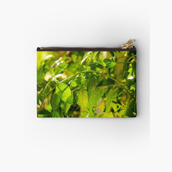 Item preview, Backlit Pepper Plant Leaves designed and sold by Rabee Khalil Photography.