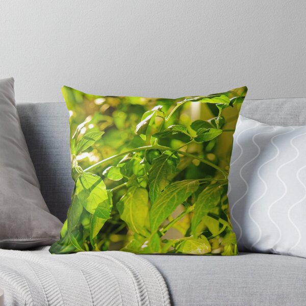 Item preview, Backlit Pepper Plant Leaves designed and sold by Rabee Khalil Photography.