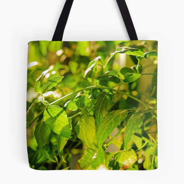 Item preview, Backlit Pepper Plant Leaves designed and sold by Rabee Khalil Photography.