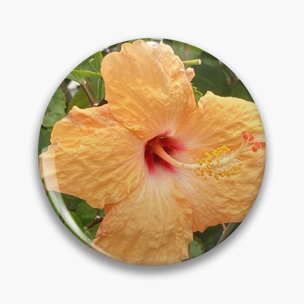 Item preview, Yellow hibiscus, fully open designed and sold by Ben Waggoner.