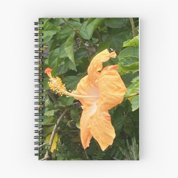 Item preview, Yellow hibiscus in profile designed and sold by Ben Waggoner.