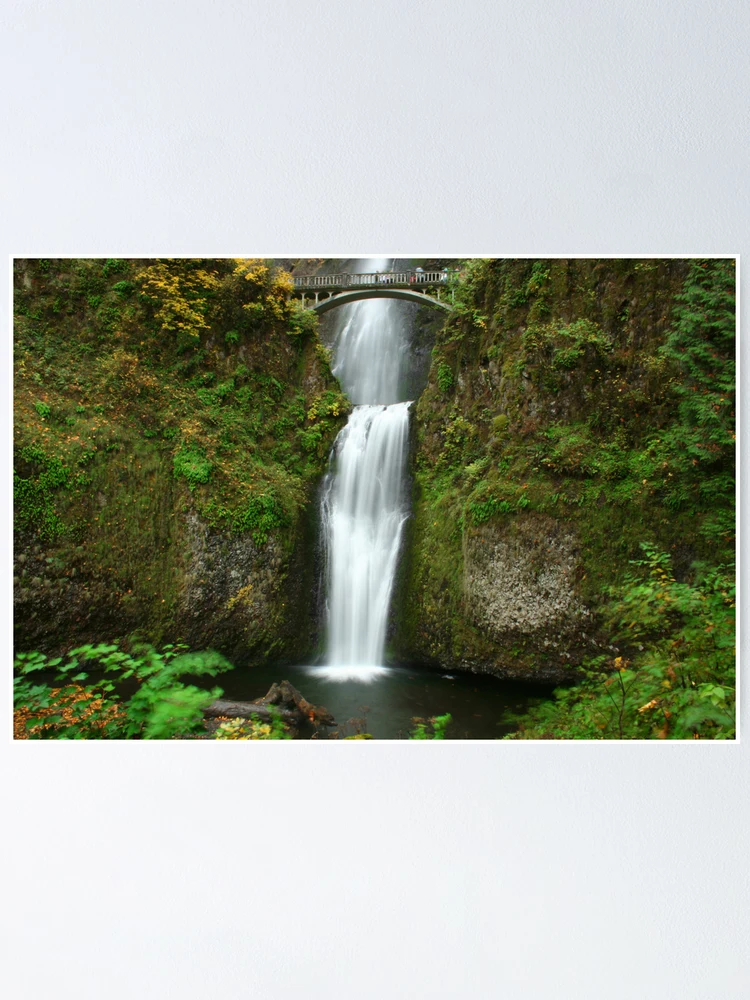 Thumbnail 1 of 3, Poster, Cascade designed and sold by RationalMatthew.