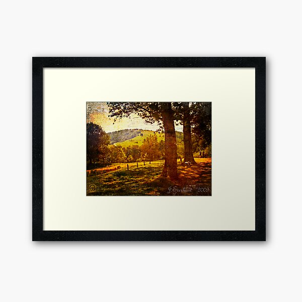 A Walk Around the Monticello Framed Art Print
