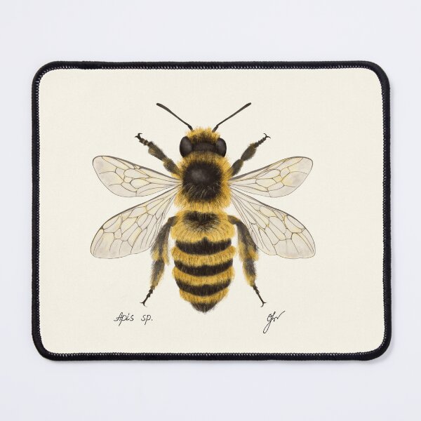 Item preview, Honey Bee Botanical Print - Apis mellifera Pollinator Art designed and sold by Fiurdelin.