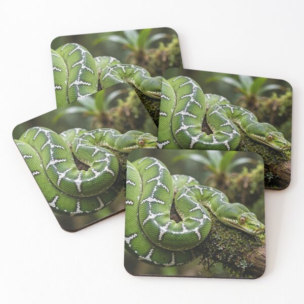 Item preview, Realistic Green Boa designed and sold by gtara1.