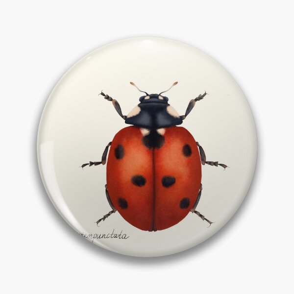 Item preview, Seven-spot Ladybug Botanical Print - Coccinella septempunctata Garden Art designed and sold by Fiurdelin.