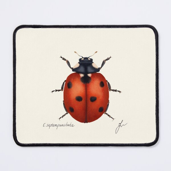 Item preview, Seven-spot Ladybug Botanical Print - Coccinella septempunctata Garden Art designed and sold by Fiurdelin.