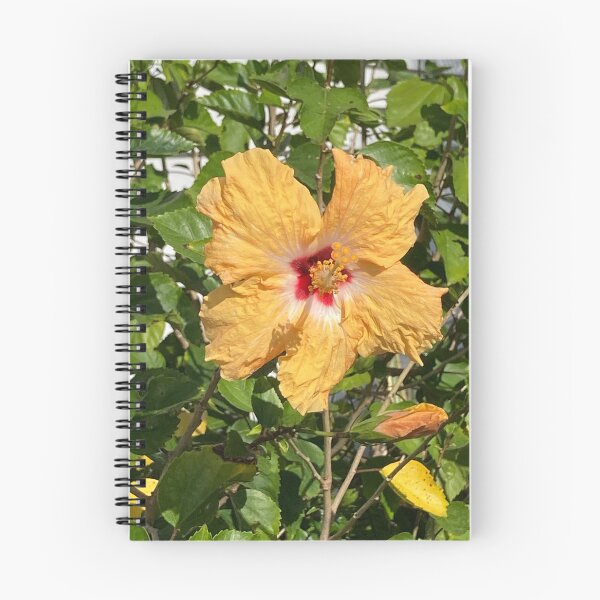 Item preview, Yellow hibiscus in full sun  designed and sold by Ben Waggoner.