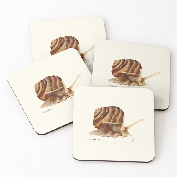 Item preview, Garden Snail Botanical Print - Cornu aspersum Naturalist Art designed and sold by Fiurdelin.