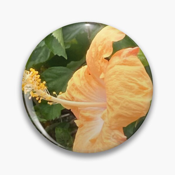 Item preview, Yellow hibiscus in profile designed and sold by Ben Waggoner.
