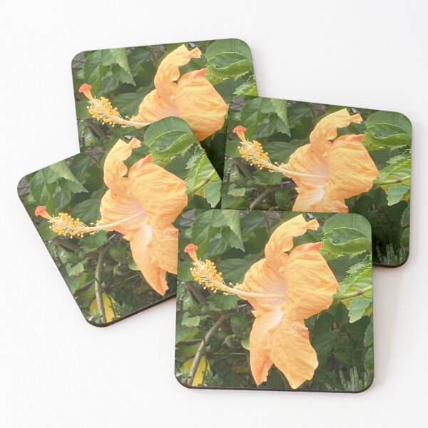 Item preview, Yellow hibiscus in profile designed and sold by Ben Waggoner.