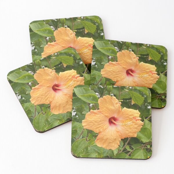 Item preview, Yellow hibiscus, fully open designed and sold by Ben Waggoner.