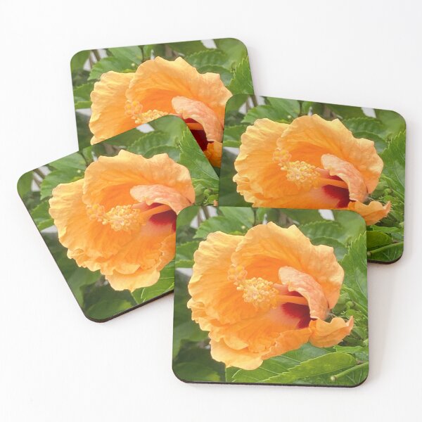 Item preview, Hibiscus opening in the morning designed and sold by Ben Waggoner.