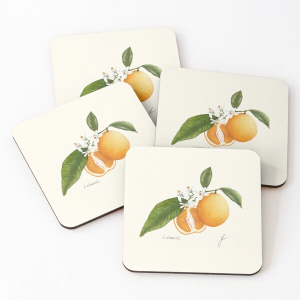 Item preview, Sweet Orange Botanical Print - Citrus sinensis Mediterranean Kitchen Art designed and sold by Fiurdelin.