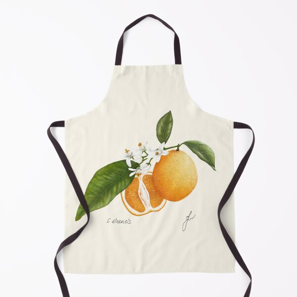 Item preview, Sweet Orange Botanical Print - Citrus sinensis Mediterranean Kitchen Art designed and sold by Fiurdelin.