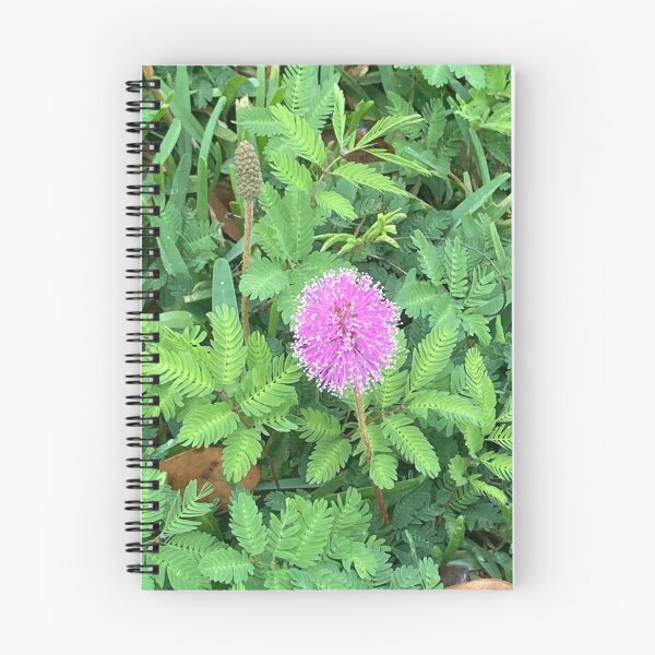 Item preview, Mimosa (sensitive plant) designed and sold by Ben Waggoner.