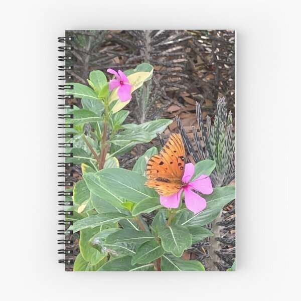 Item preview, Butterfly on Madagascar periwinkle 2 designed and sold by Ben Waggoner.