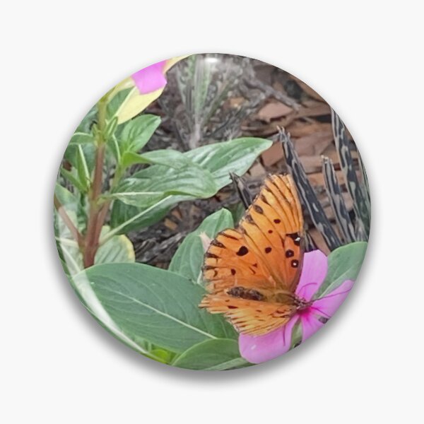 Item preview, Butterfly on Madagascar periwinkle 2 designed and sold by Ben Waggoner.