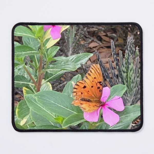Item preview, Butterfly on Madagascar periwinkle 2 designed and sold by Ben Waggoner.