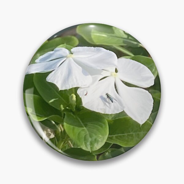 Item preview, Green metallic fly on Madagascar periwinkle designed and sold by Ben Waggoner.