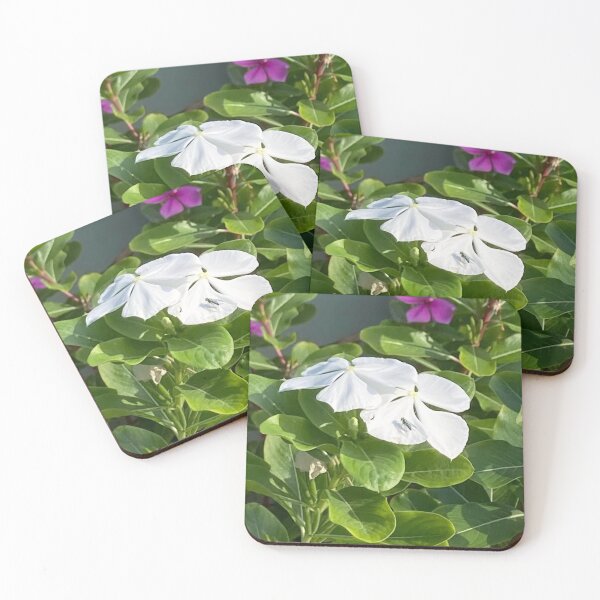 Item preview, Green metallic fly on Madagascar periwinkle designed and sold by Ben Waggoner.