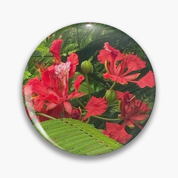Item preview, Royal Poinciana Tree Flowers designed and sold by Ben Waggoner.