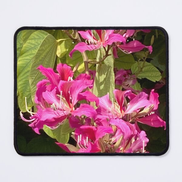 Item preview, Lavender Orchid Tree Flowers designed and sold by Ben Waggoner.