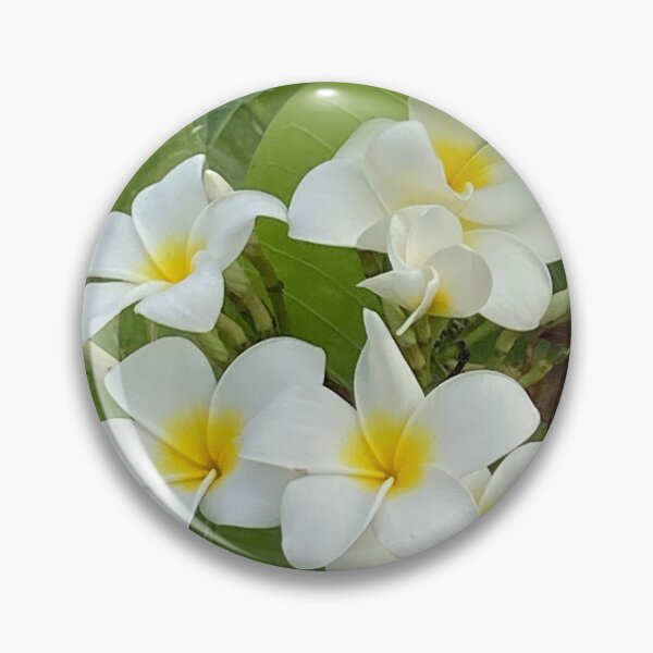 Item preview, Yellow and White Frangipani designed and sold by Ben Waggoner.